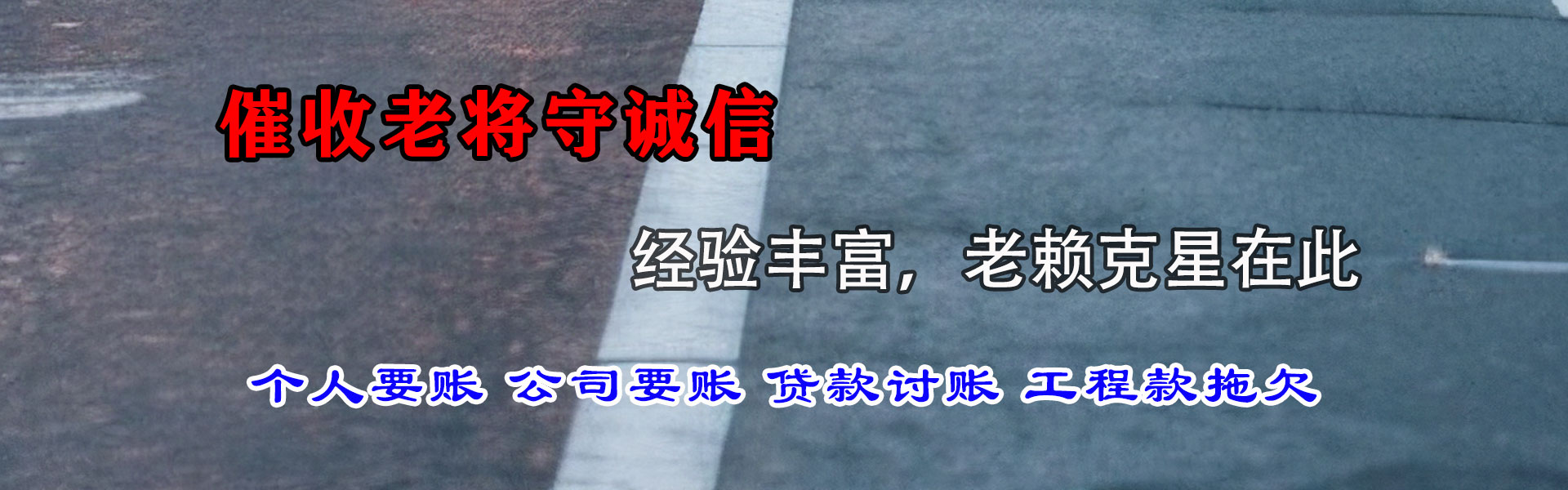 丹阳清债公司